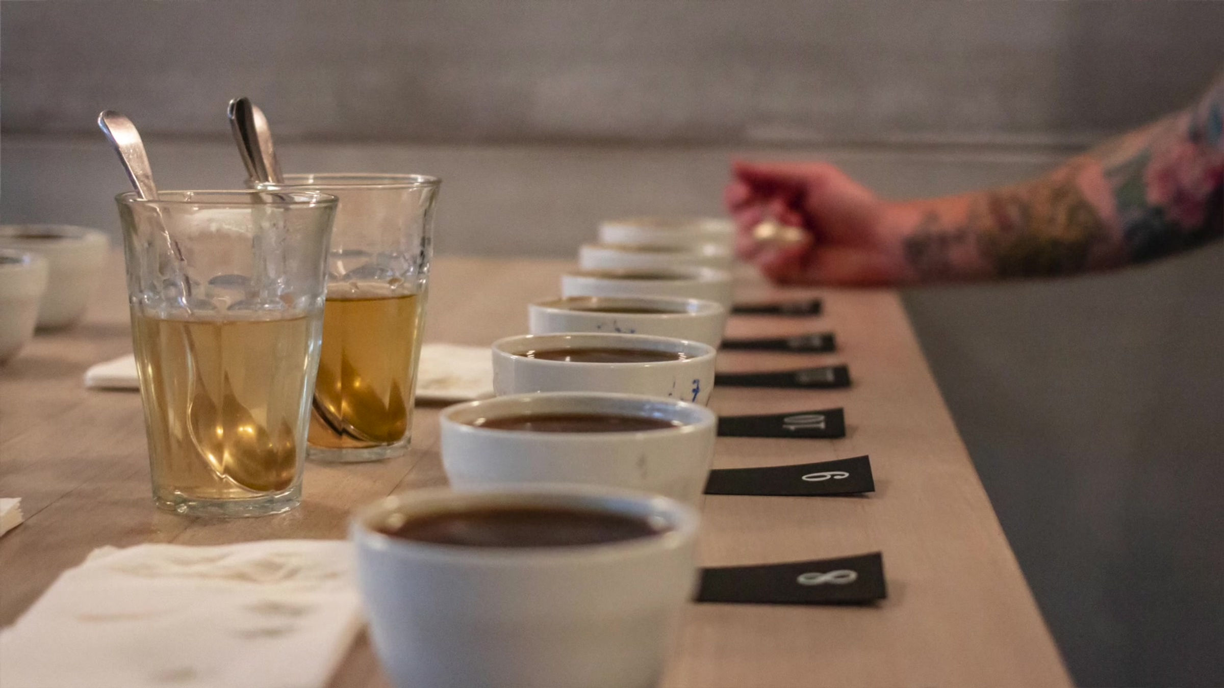 The Artisan Roaster Video Series Promo Trailer